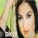 Aşkın Beni Deli Eyledi