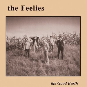 The Feelies 3