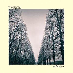 The Feelies 2