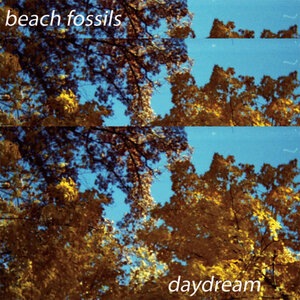Beach Fossils 1