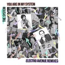 You Are in My System.