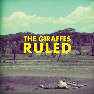 The Giraffes 3