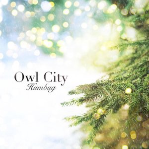 Owl City 21