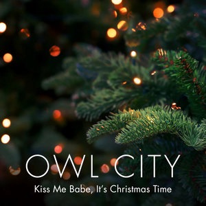 Owl City 17