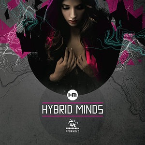 Hybrid Minds 1