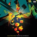 Pocket Full Of Miracles