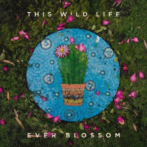 This Wild Life 10