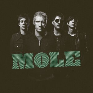 Mole 1