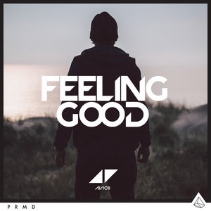 Avicii 12