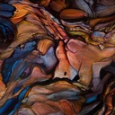 Where Wildness Grows