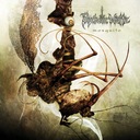 Dancing in the Ashes