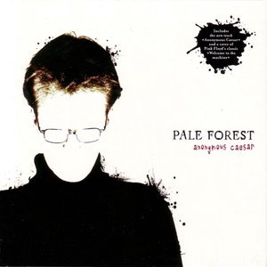 Pale Forest 1