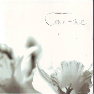 The dole of the king's daughter