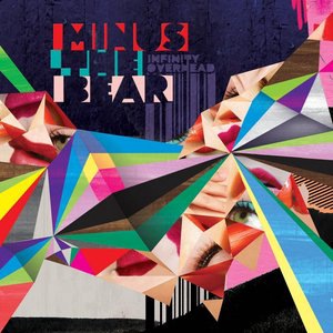 Minus The Bear 5