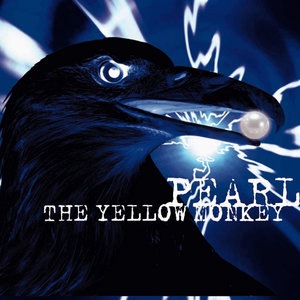 THE YELLOW MONKEY 6
