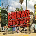 You Can't Put Your Arms Around a Memory