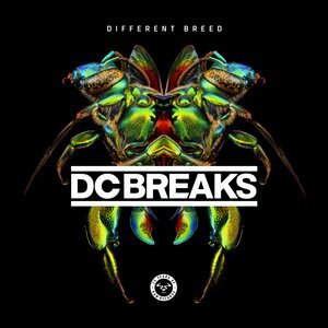 Dc Breaks 4