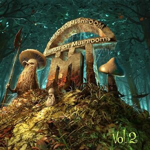 Infected Mushroom 1