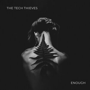 The Tech Thieves 12