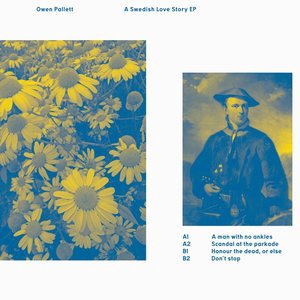 Owen Pallett 2