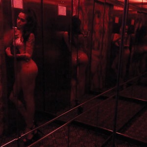 Self Defense Family 14