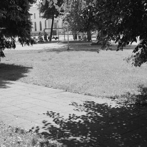 Self Defense Family 6