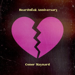 Conor Maynard 21