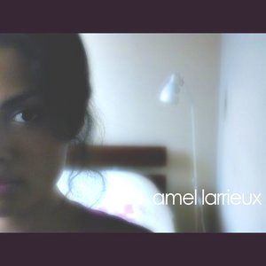 Amel Larrieux 3