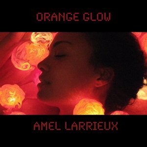 Amel Larrieux 2