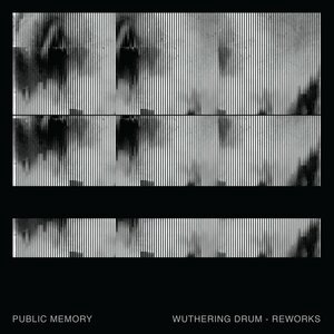 Public Memory 2