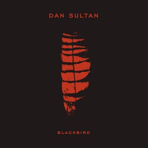 Dan Sultan 2