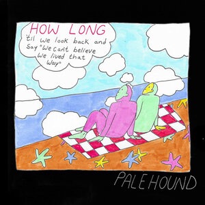 Palehound 7