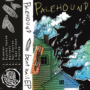 Palehound 2