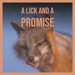 A Star Fell out Of Heaven