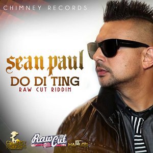 Sean Paul 100