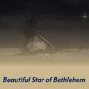 Beautiful Star of Bethlehem