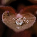 So How Come (No One Loves Me)