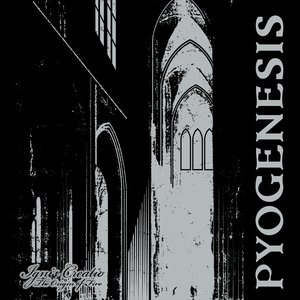 Pyogenesis 12