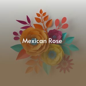 When I Get Through with You (You'll Love Me Too)