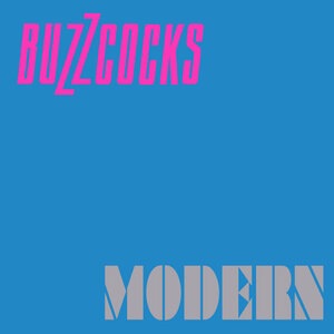Buzzcocks 25