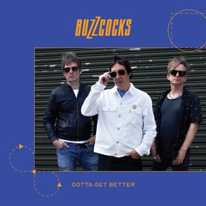 Buzzcocks 22