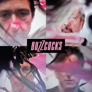 Buzzcocks 20