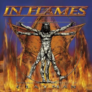 In Flames 20