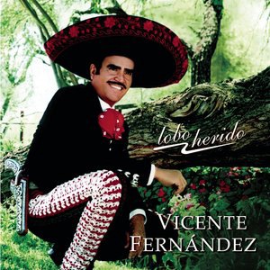 Vicente Fernandez 33