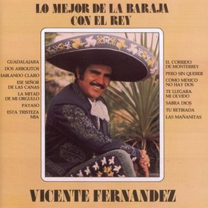 Vicente Fernandez 14