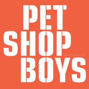 Pet Shop Boys 35