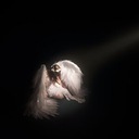 ангел-хранитель