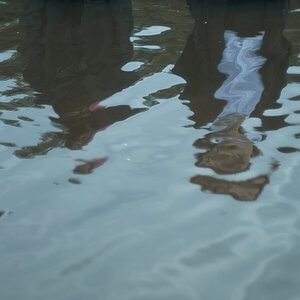 Бонд с кнопкой 2