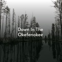 That Little Boy of Mine