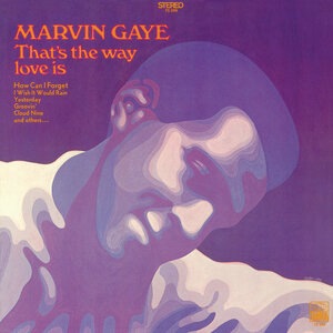 Marvin Gaye 66